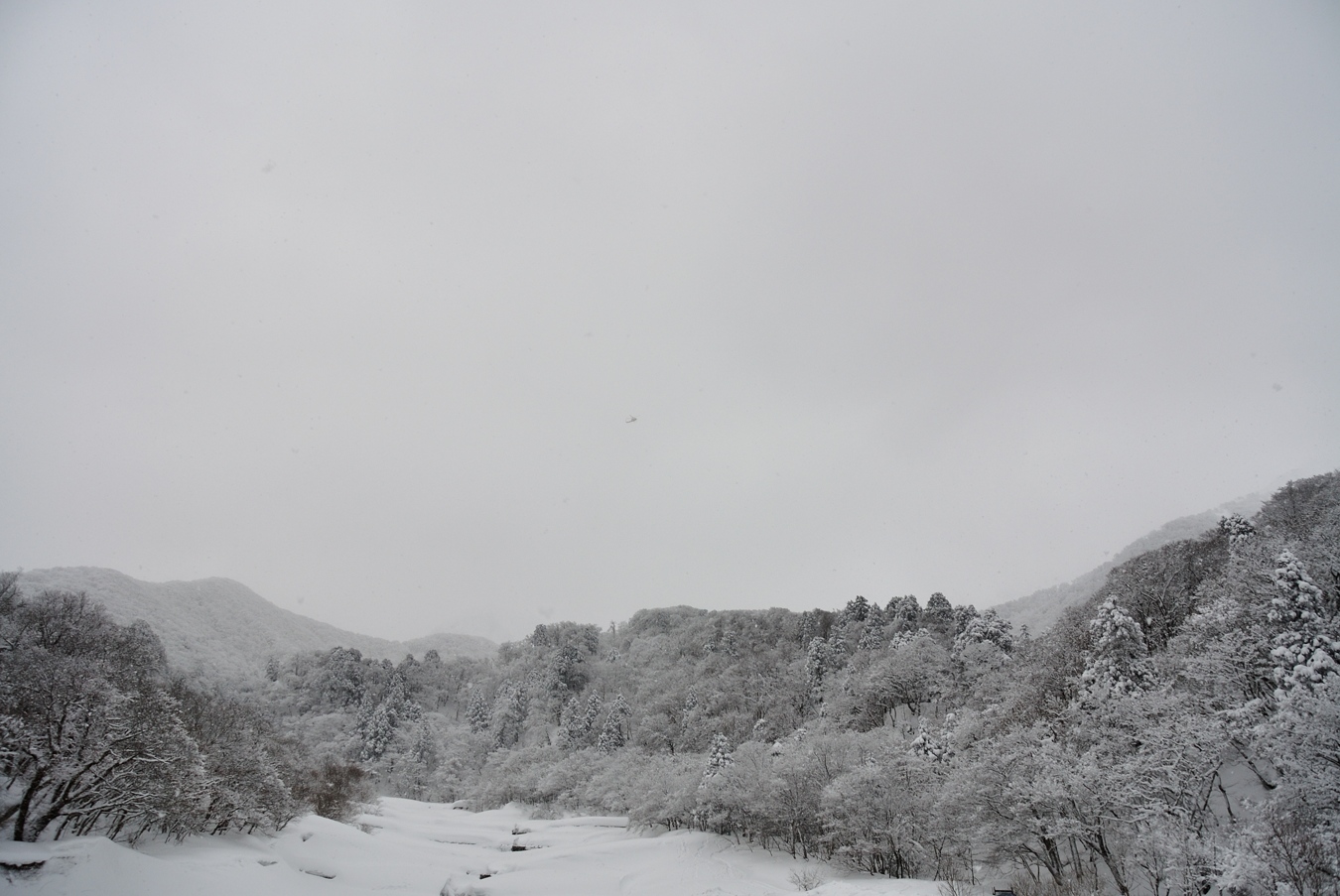 c0138991_2224830.jpg