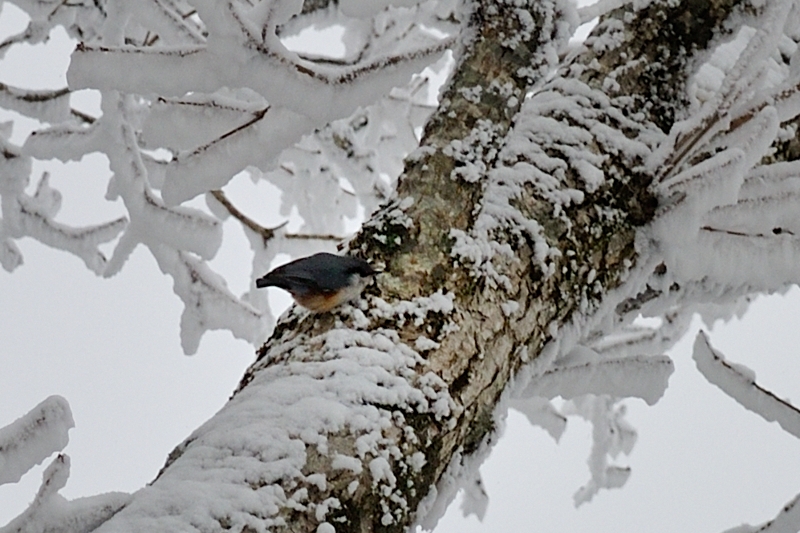 c0138991_22263434.jpg
