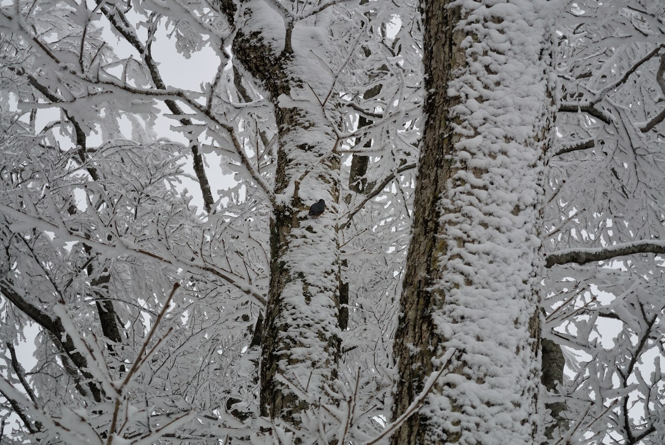 c0138991_22282579.jpg