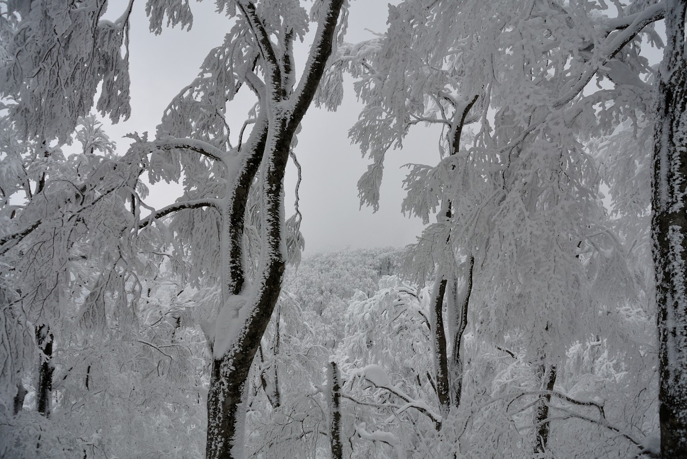c0138991_2231448.jpg