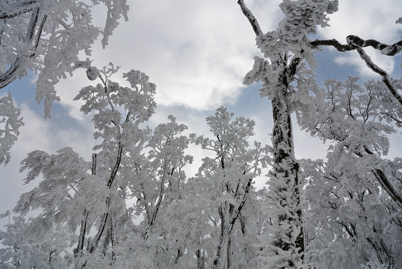 c0138991_22343782.jpg