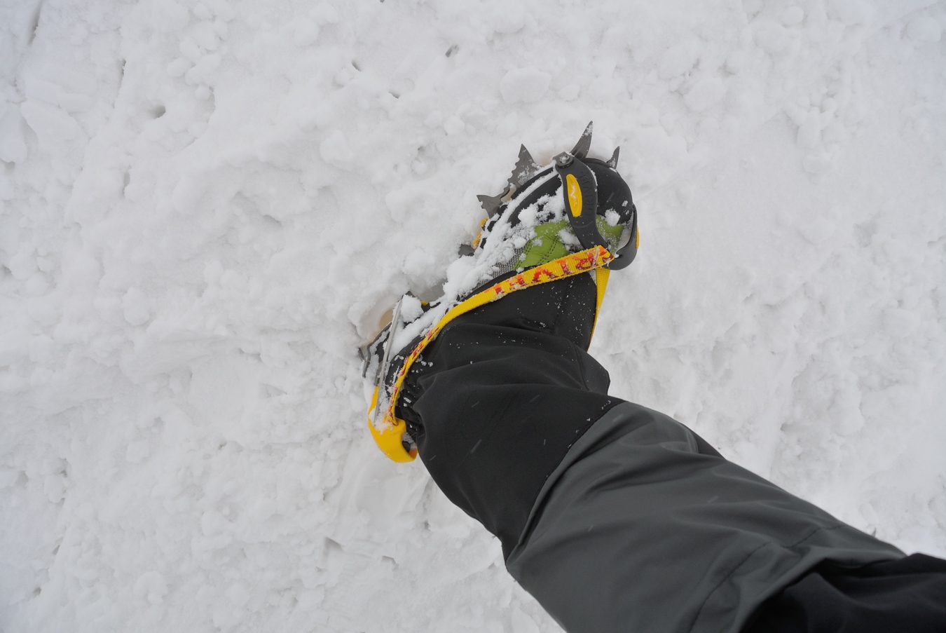c0138991_2247545.jpg
