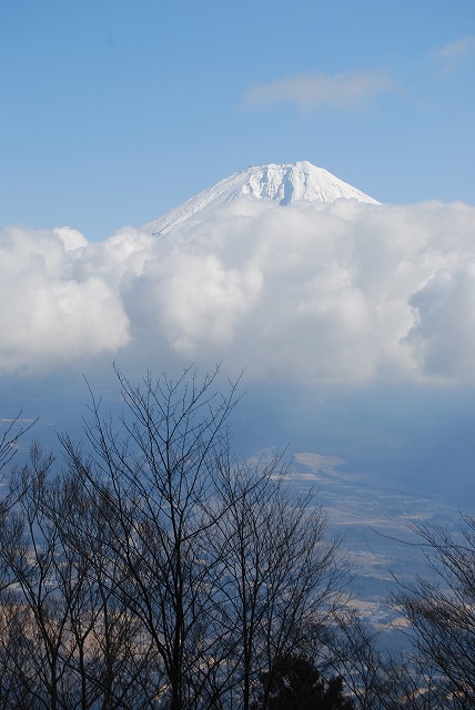 c0124100_11585377.jpg