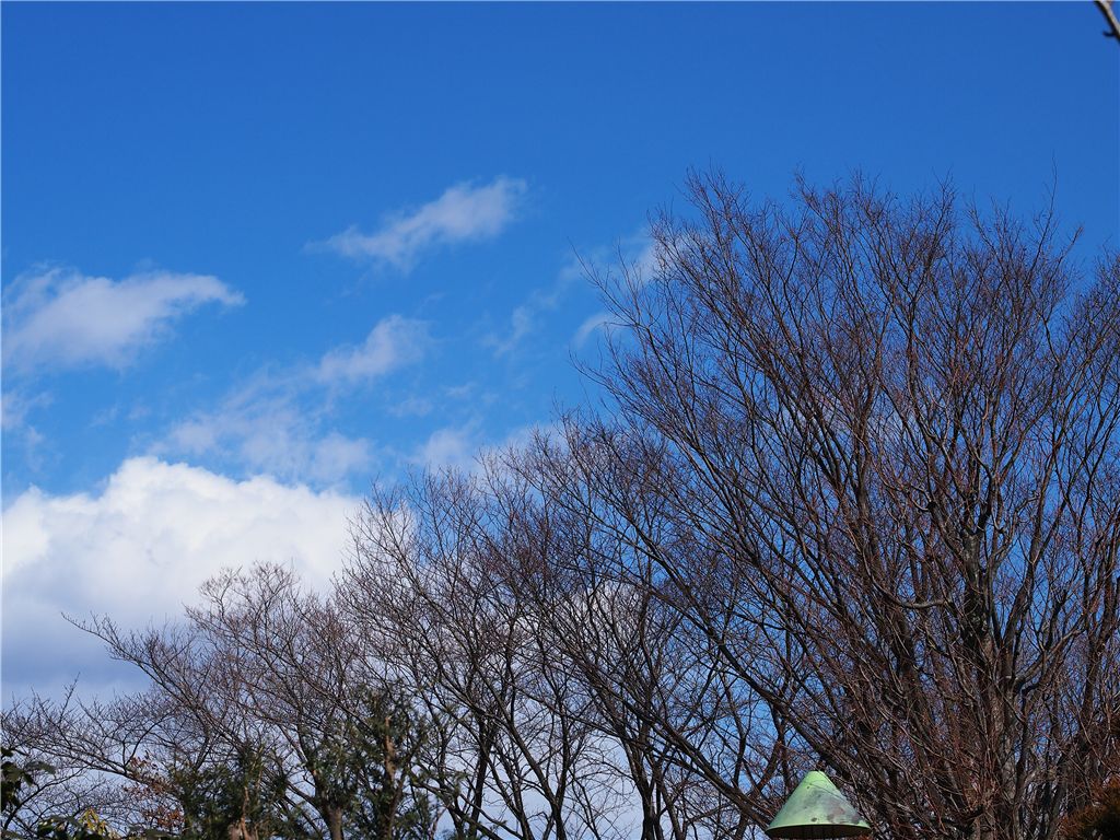 f0224100_21403023.jpg