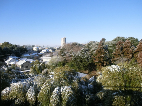 雪の日のマクロビオティック料理_c0125702_2145364.jpg