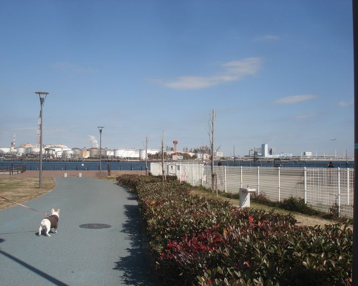 b0148106_85390.jpg