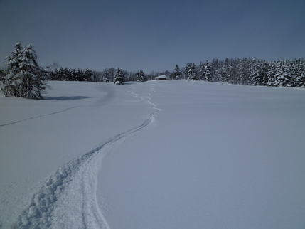 a0248508_13464936.jpg