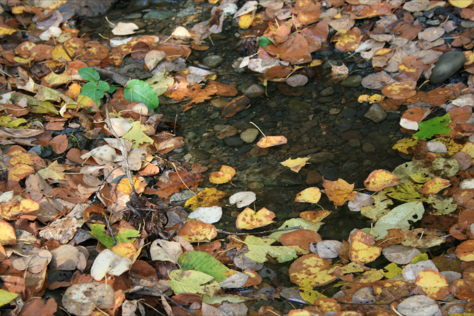 d0119909_10575328.jpg