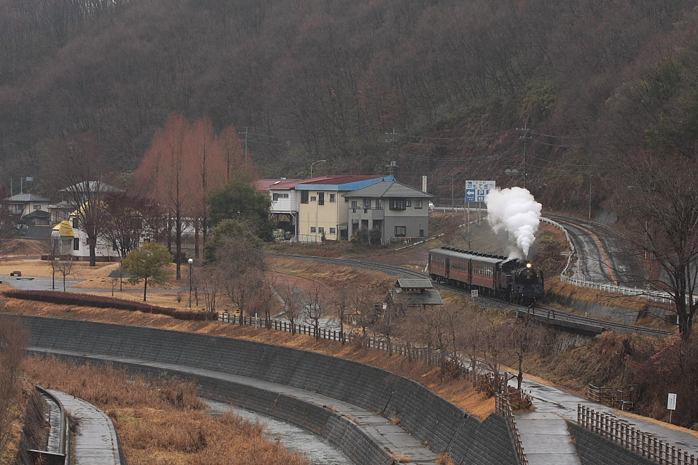 冬の雨 - 2012年冬・真岡 -_b0190710_20252695.jpg