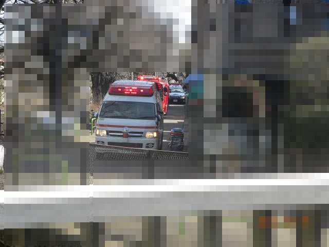 b0203018_17503414.jpg