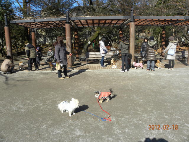 b0203018_17564837.jpg