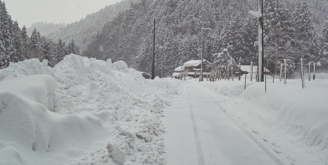 40ｃｍの新雪、今も雪・・・積雪100センチ　　　　　朽木小川・気象台より_c0044819_10132030.jpg