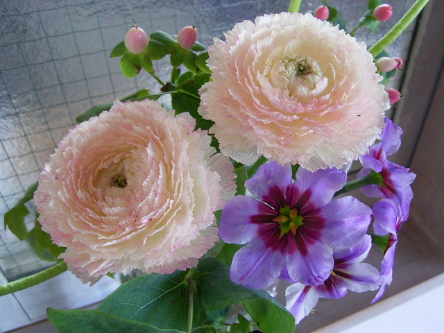 いただいたおとも_b0206421_17364063.jpg