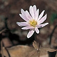 e0054022_1112216.jpg