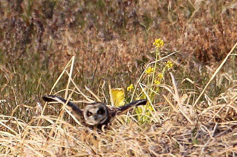 b0179023_17314275.jpg