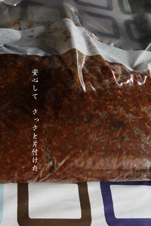 d0042827_1041740.jpg