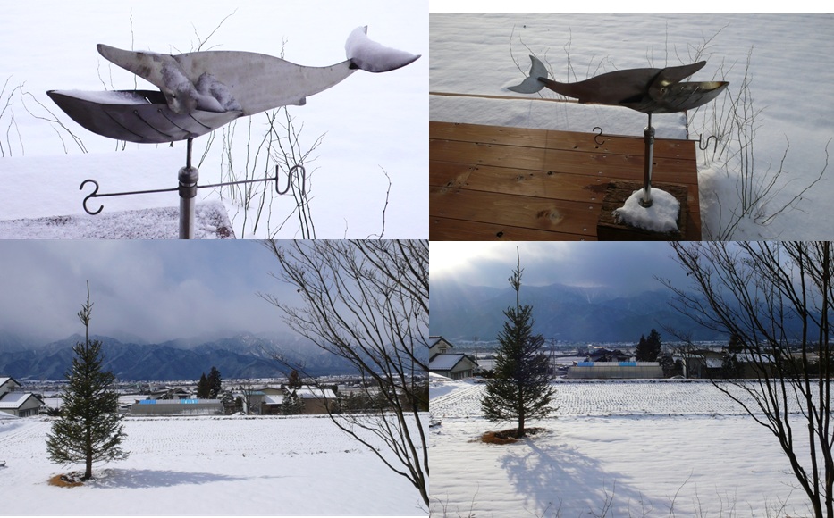 安曇野 二月の雪景色 と風見クジラ_a0212730_17412650.jpg