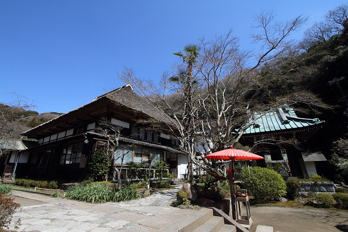 鎌倉散歩　#20 －春光のお寺巡り（海蔵寺、宝戒寺、建長寺）－_b0169330_12411452.jpg