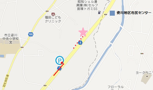 a0166631_229630.png