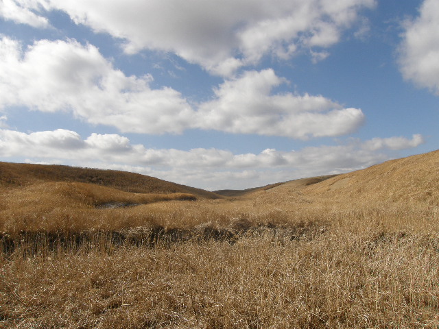 c0141933_0134090.jpg