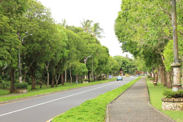 b0038638_13122461.jpg