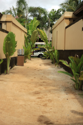 b0038638_13174140.jpg