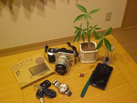 b0199742_1852653.gif