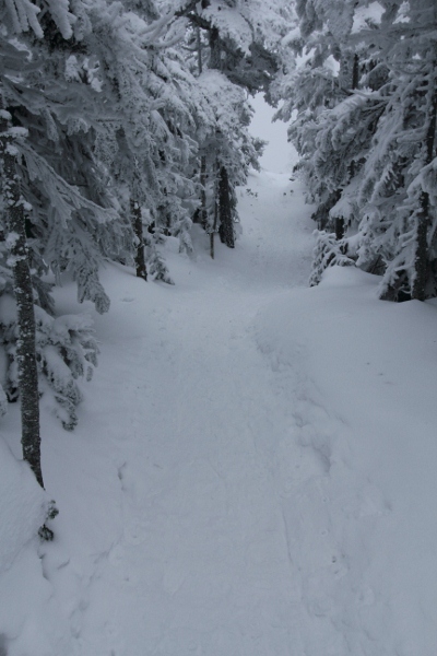 Snowshoeing In KITA_YOKODAKE_c0228945_5433247.jpg