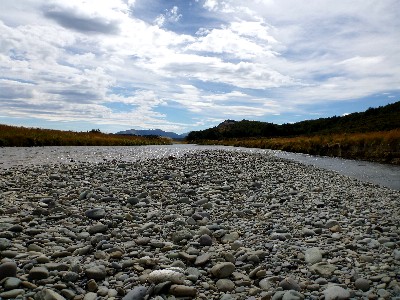 ２月１７日　Oreti川上流部_e0098148_13141093.jpg