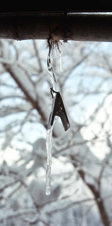 今季最高の積雪・・また逢う日まで_d0005250_18481621.jpg