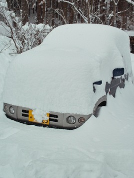 今季最高の積雪・・また逢う日まで_d0005250_18485267.jpg