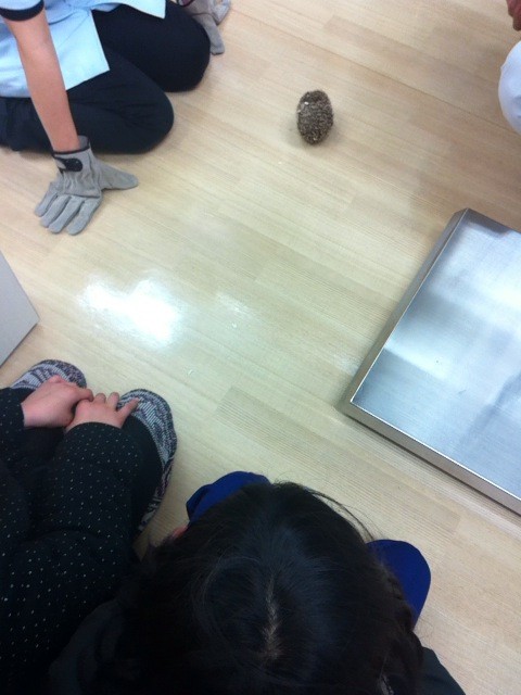 続、エキゾチックな家族_f0109257_16574753.jpg