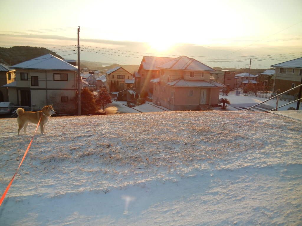 2012年2月18日(土)雪景色だよ~!_f0060461_1094177.jpg