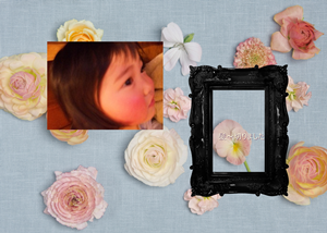 d0069575_1612060.png