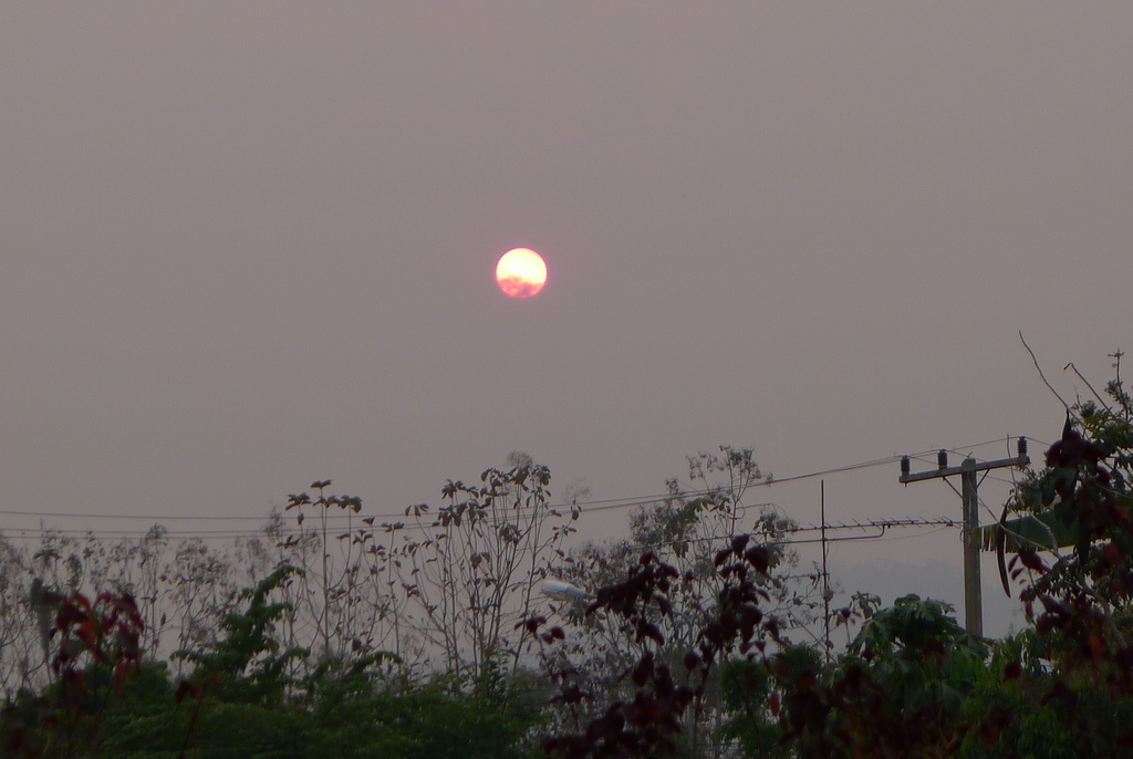 f0178278_1436217.jpg