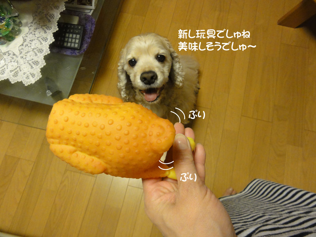 f0218182_20154248.jpg