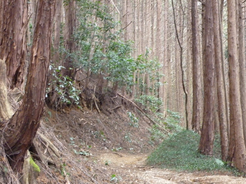d0159384_061238.jpg