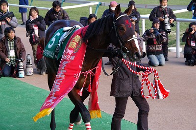 ダイヤモンドＳ（ＧＩＩＩ）は、単勝１９０倍のケイアイドウソジンが逃げ切り大金星の初重賞制覇_b0015386_21113816.jpg