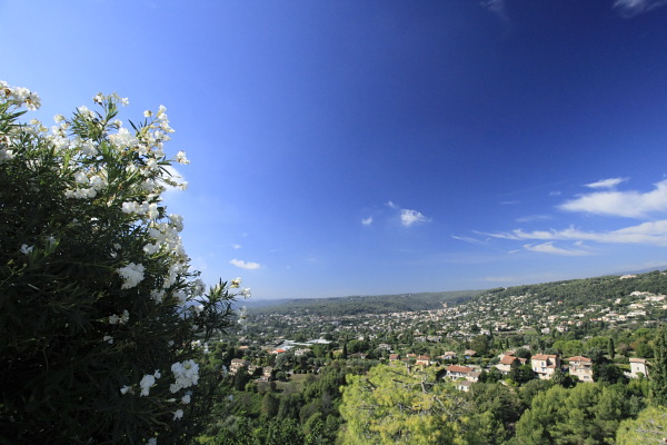 a0252387_2085049.jpg
