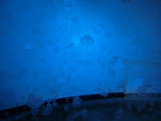 d0156797_0153059.jpg