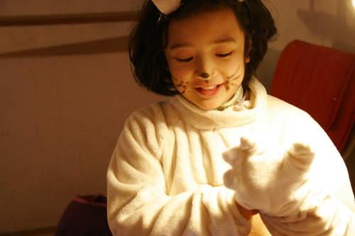 猫ちゃん_f0106597_2543773.jpg