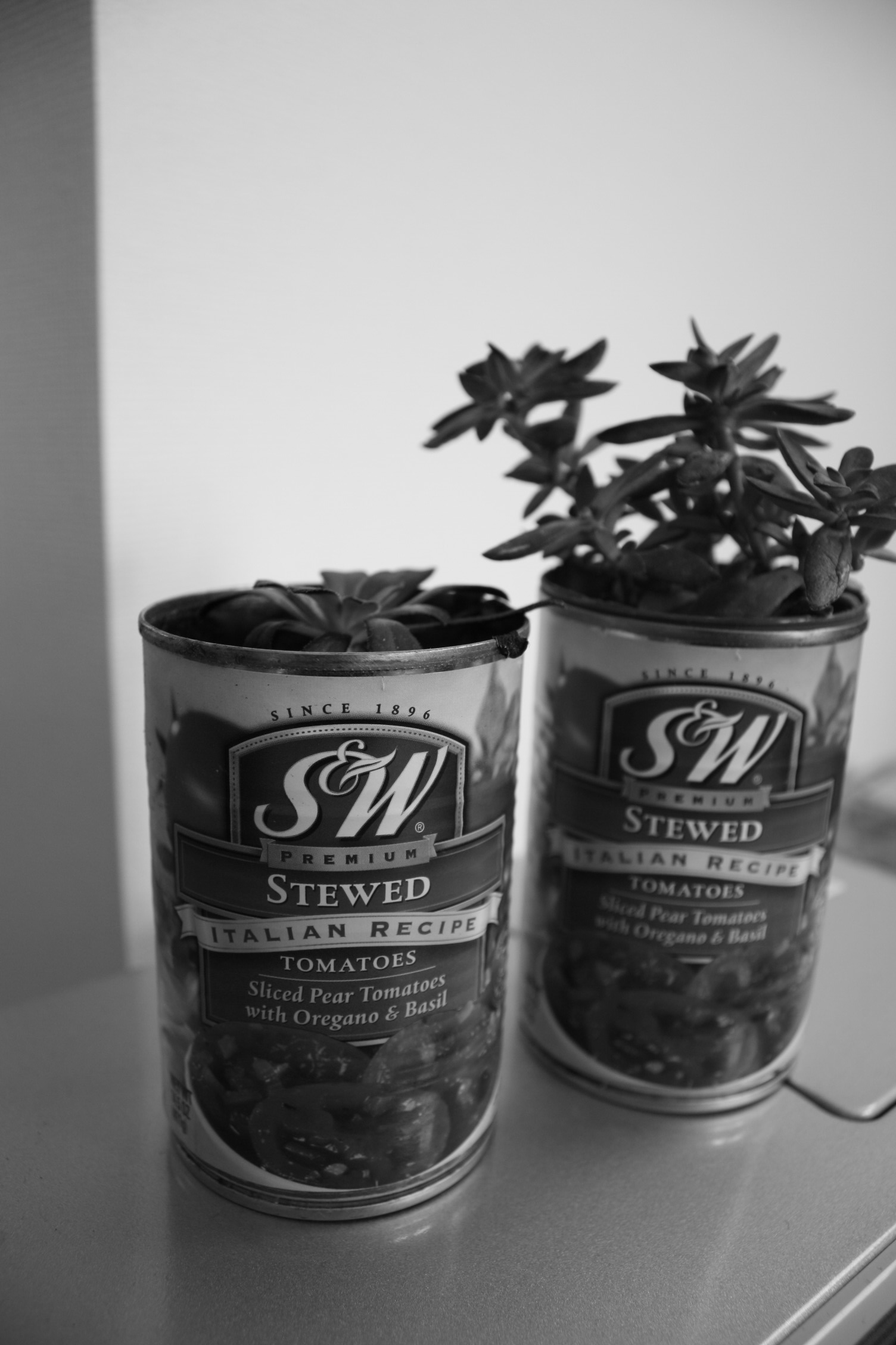 c0123400_16441312.jpg