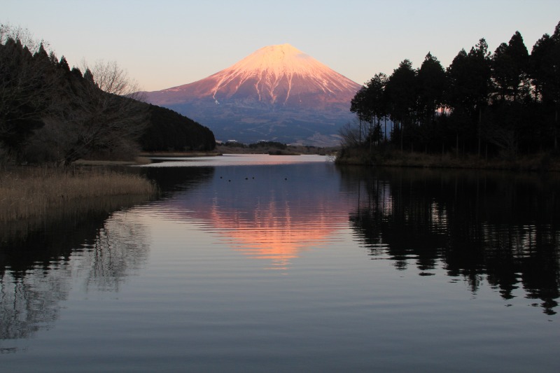 田貫湖の夕焼け_a0188405_2122091.jpg