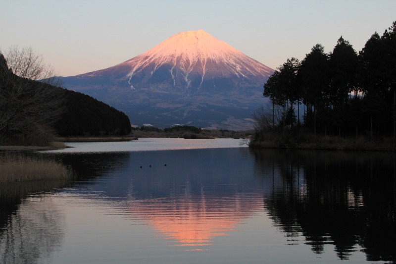 田貫湖の夕焼け_a0188405_21223116.jpg