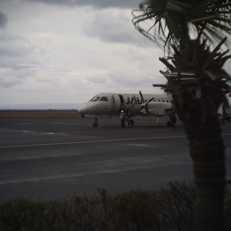 d0147406_1059509.jpg