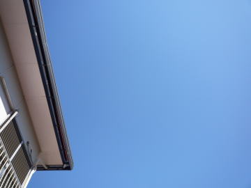 e0070606_473886.jpg