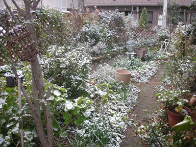 f0035506_9233311.jpg