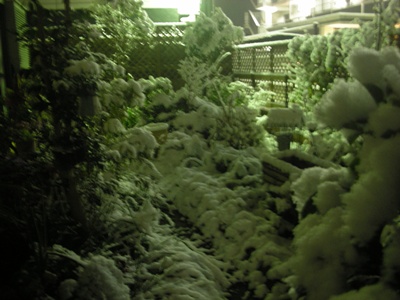 f0035506_9263626.jpg