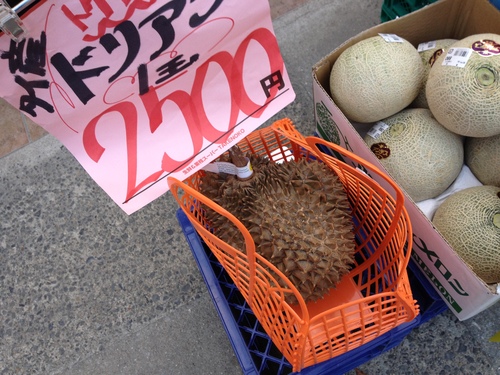共喰い_a0194908_23461712.jpg