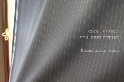 Ermenegildo Zegna 2012春夏コレクション-1_b0081010_22322997.jpg